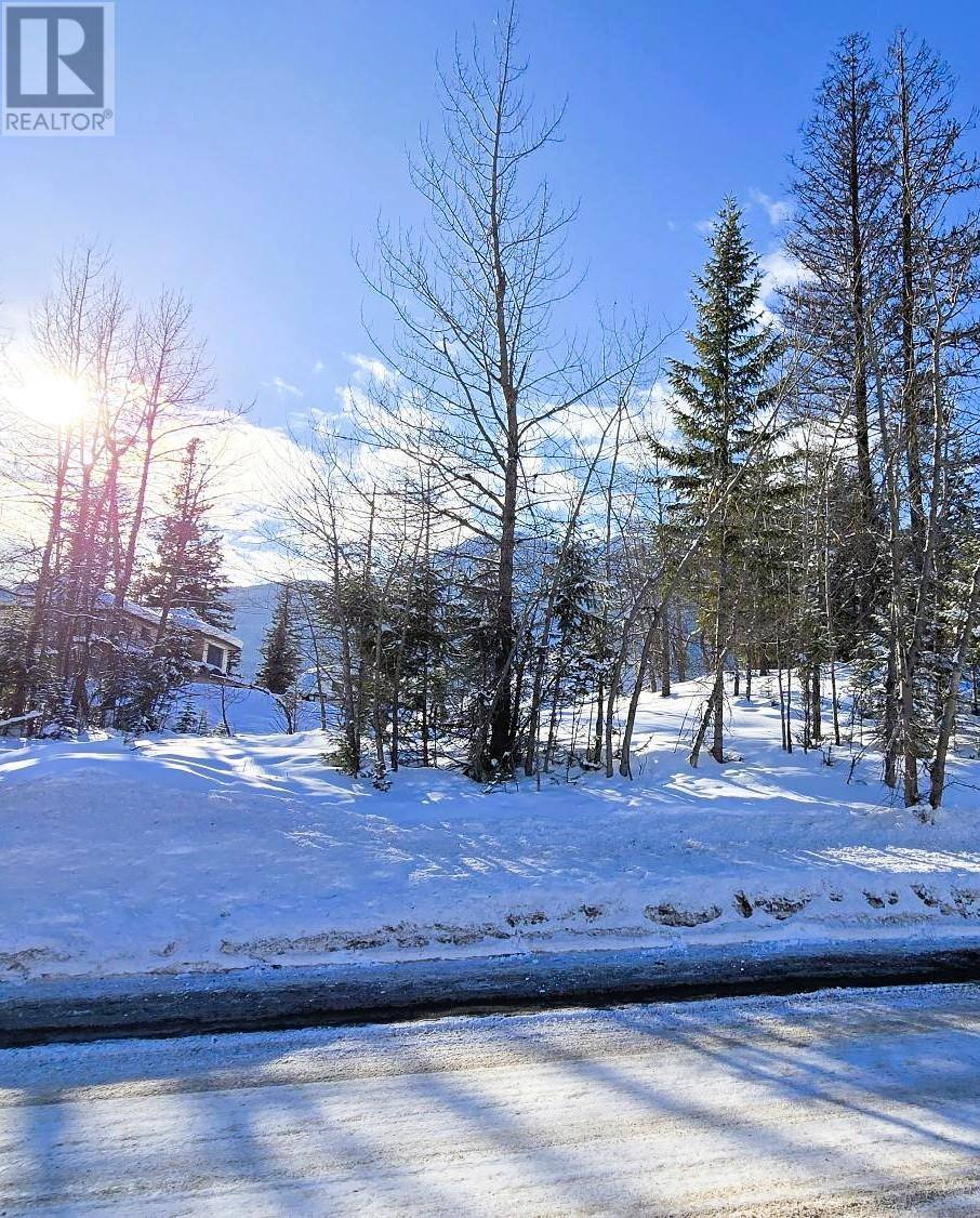 51 CARIBOO Drive, Elkford