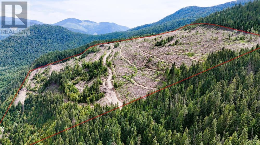 Quartz Creek Forest Service Road Road Lot# Parcel A, Ymir