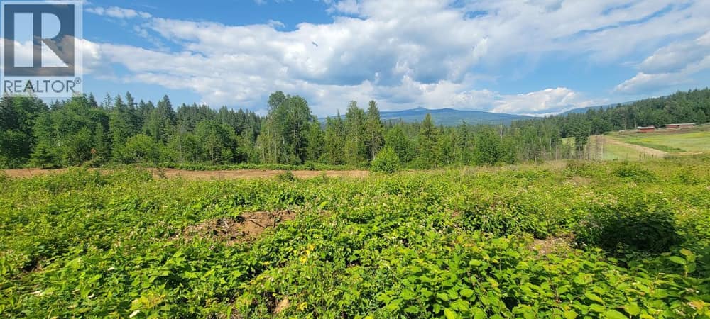 DL 2620 YELLOWHEAD Highway Unit# LOT 1, Clearwater
