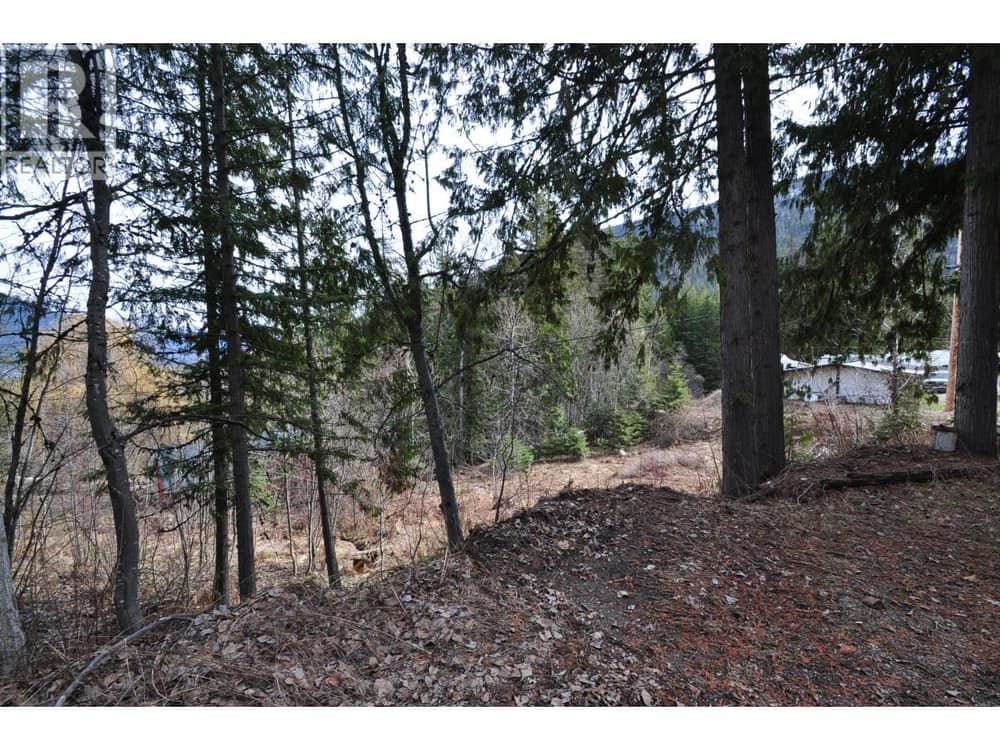 2835 SILVER KING Road, Nelson