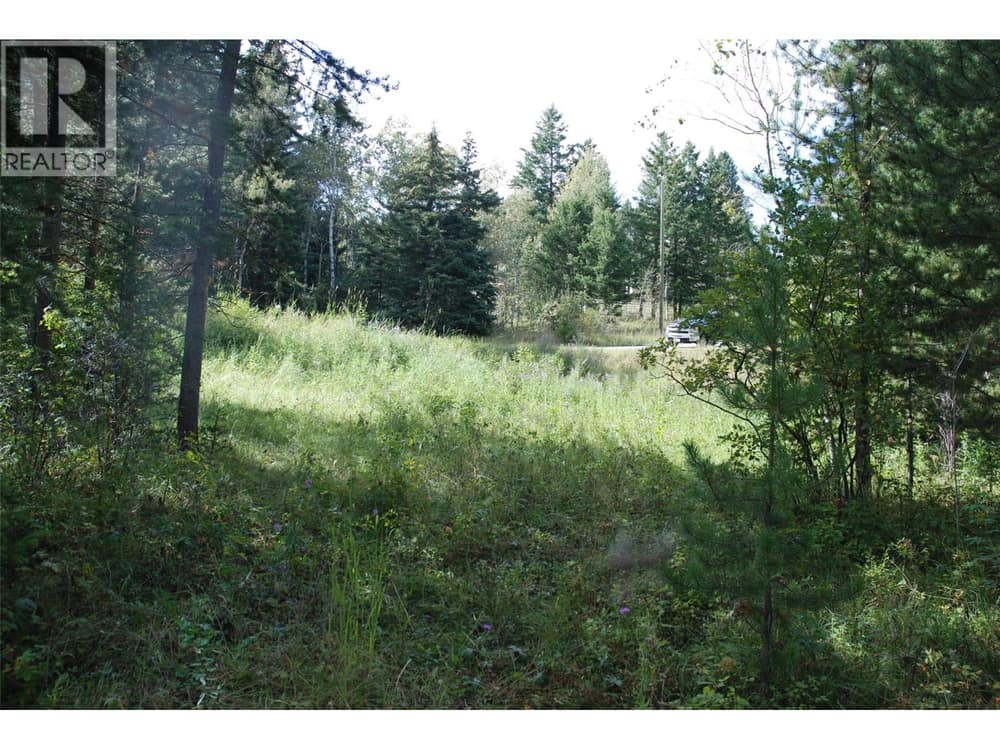 396 Wild Rose Drive, Merritt
