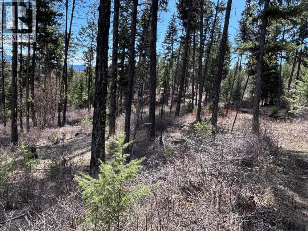 Lot 4 Hulme Creek Road, Rock Creek