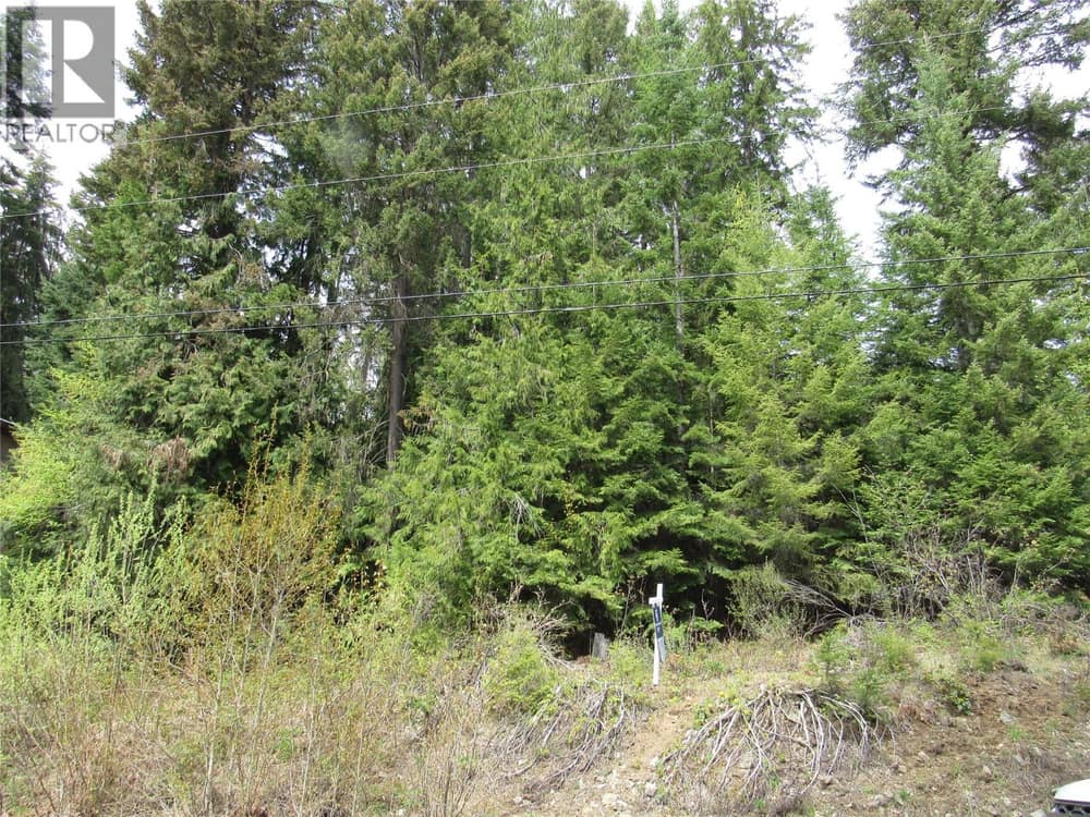 Lot 19 Nelson Rural 08182.190 Lot# 19, Bonnington Falls