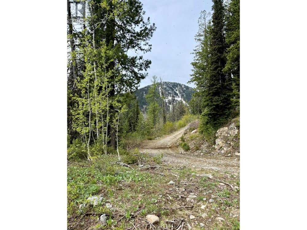 DL640 GRANITE MOUNTAIN Road, Rossland