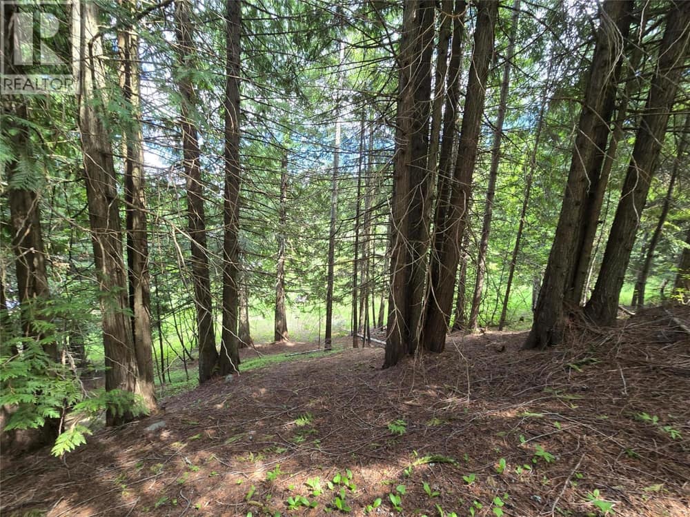 Deer Park Drive Lot# 21, Rossland