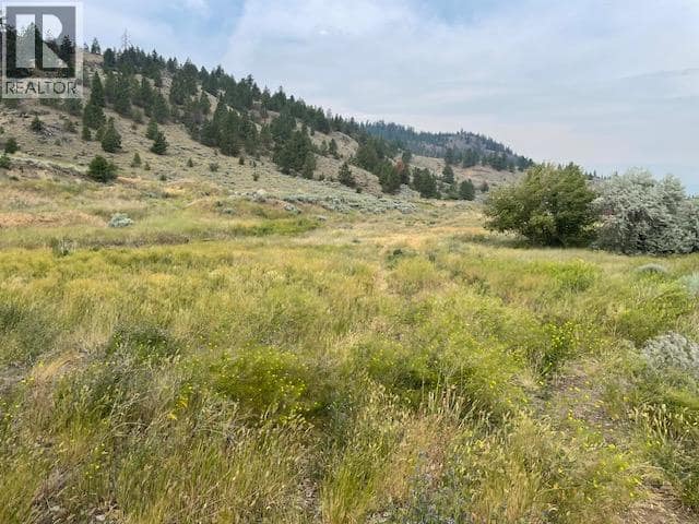 1129 Midday Valley Road, Merritt
