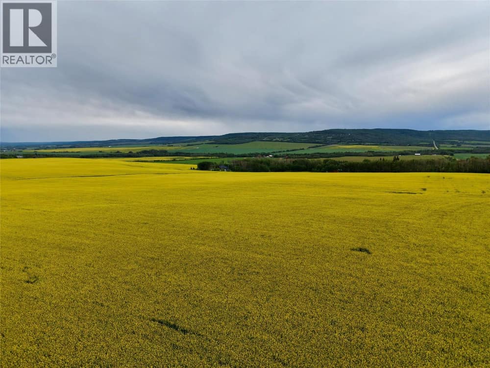 223 Road, Dawson Creek