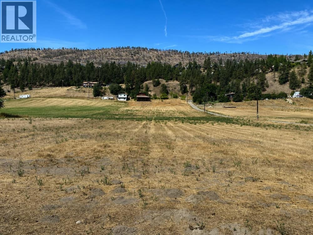 View from bottom of property lookin towards the mountain.