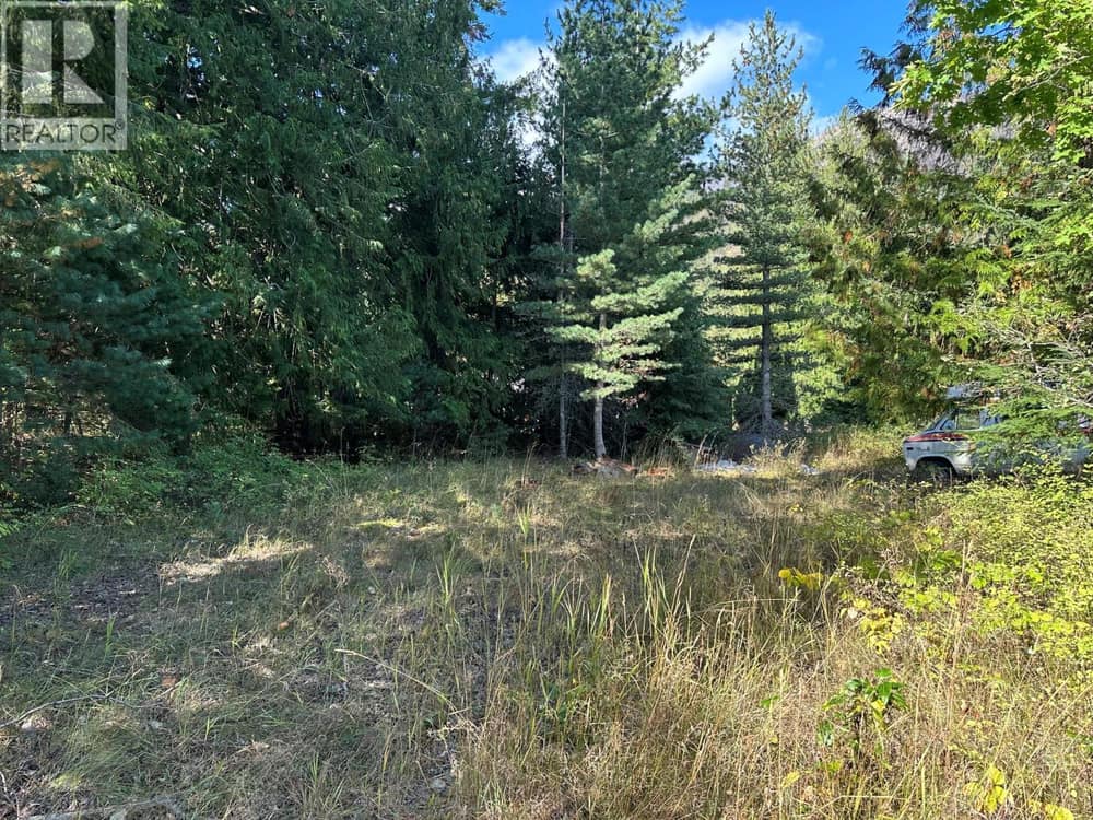 Arthur Street Lot# Lot C, Slocan