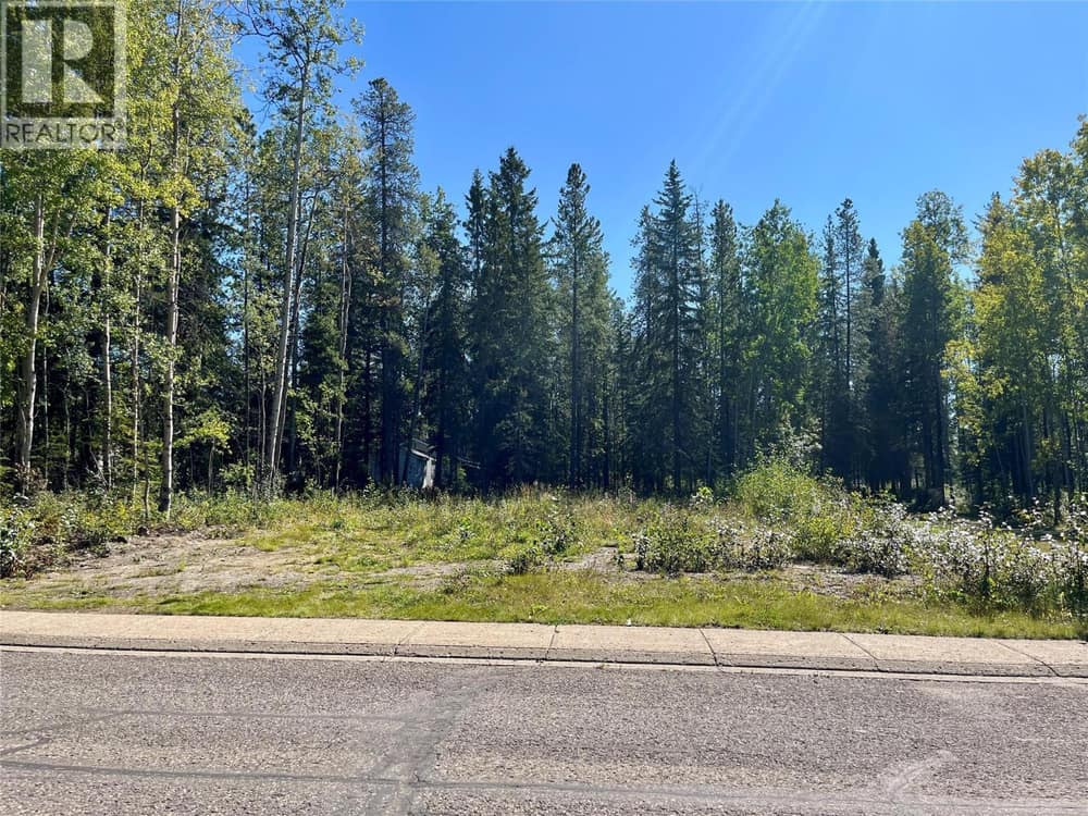 115 Red Willow Avenue, Tumbler Ridge