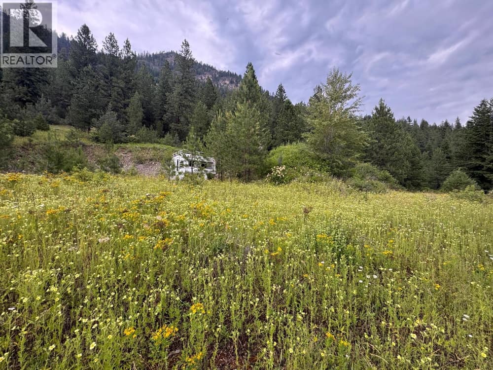 40 Acres Shuswap River Drive, Lumby