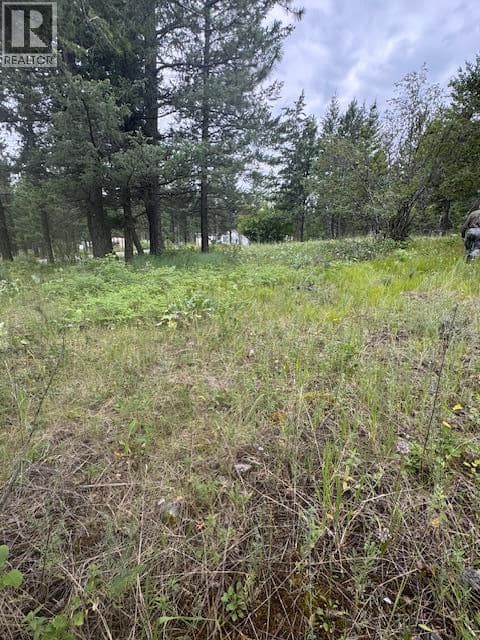 Lot 53 Hirtz Street, Elko