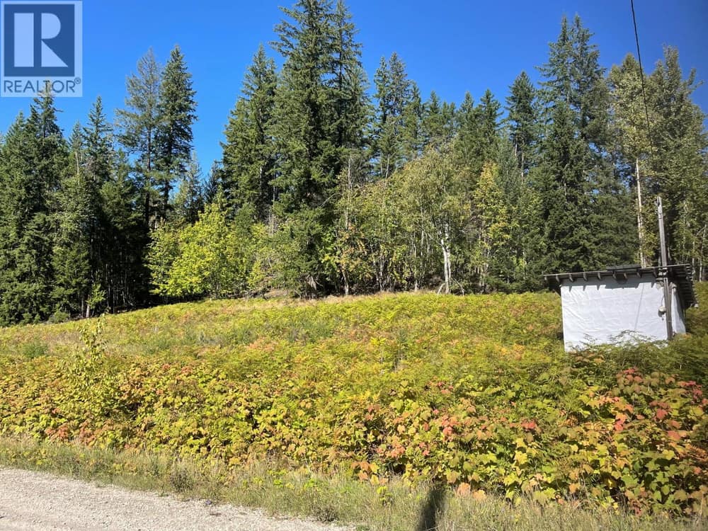Lot 77 Bartley Road, Nakusp