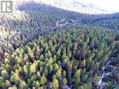 Lot 1213S INGRAM CREEK FOREST SERVICE Road, Rock Creek