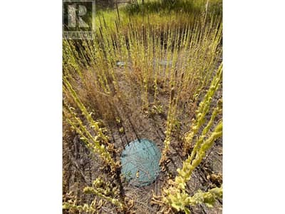 Lot 2 41 Highway, Grand Forks