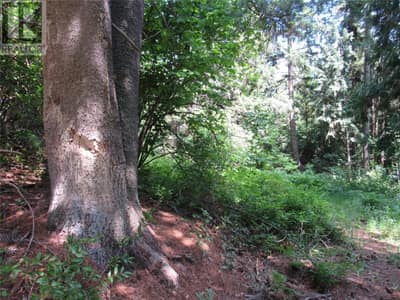2532 10th Avenue Unit# Parcel A, Castlegar