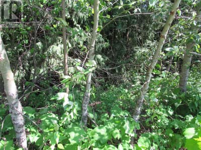 2532 10th Avenue Unit# Parcel A, Castlegar