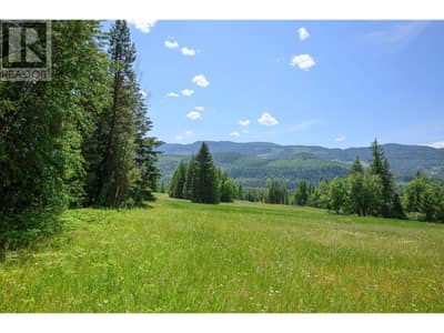 943 Raft River Road, Clearwater