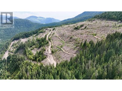 Quartz Creek Forest Service Road Road Lot# Parcel A, Ymir