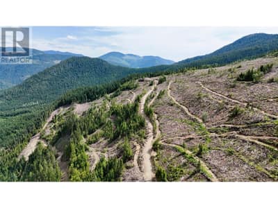 Quartz Creek Forest Service Road Road Lot# Parcel A, Ymir