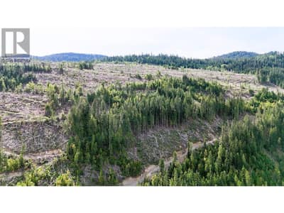 Quartz Creek Forest Service Road Road Lot# Parcel A, Ymir