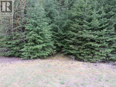 Lot B 3 Highway, Salmo
