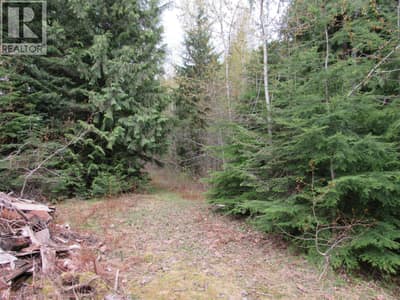 Lot B 3 Highway, Salmo