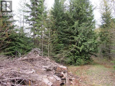 Lot B 3 Highway, Salmo