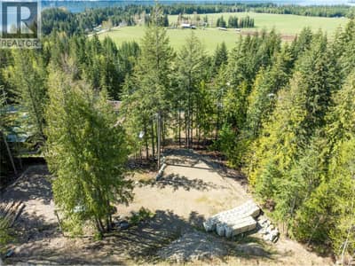2699 Fraser Road, Anglemont