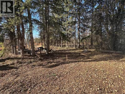 15410 Tomslake Drive, Dawson Creek