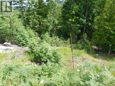 1365 Forest Road, Castlegar