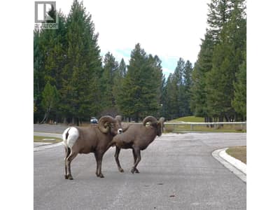 Locals