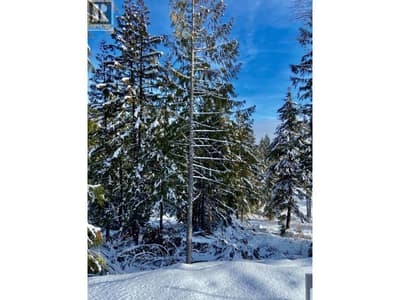 106 Topping Terrace, Rossland