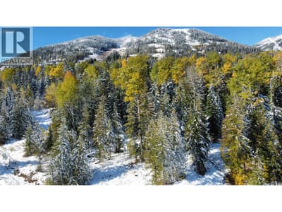110 Topping Terrace, Rossland