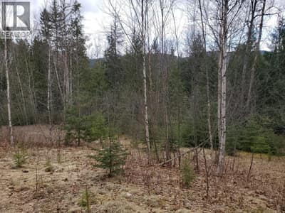 657 HOIRUP Road, Clearwater