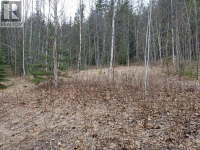 657 HOIRUP Road, Clearwater