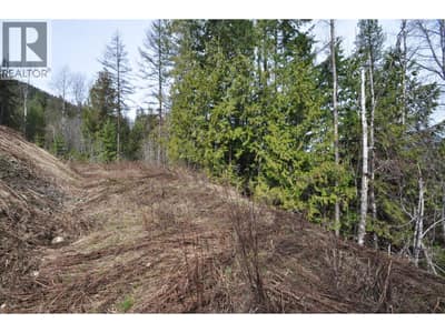 2835 SILVER KING Road, Nelson