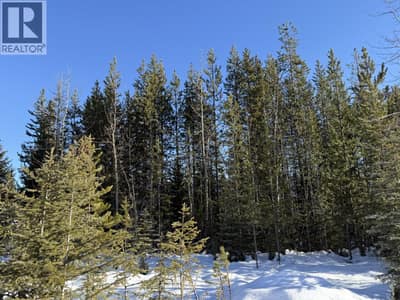 2 DALLAS Place, Elkford