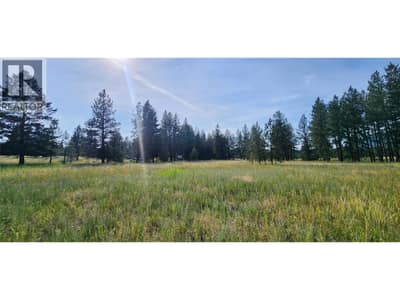 Letcher Street Lot# Parcel A, Elko