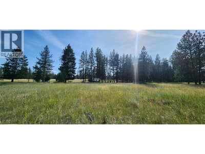 Letcher Street Lot# Parcel A, Elko