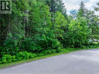 1565 Pratico Road, Revelstoke