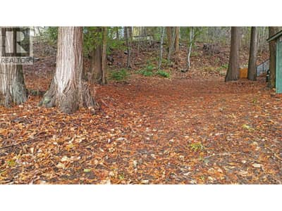 Lot 1 Squilax Anglemont Road, Anglemont