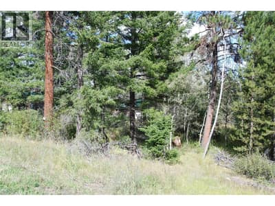 396 Wild Rose Drive, Merritt