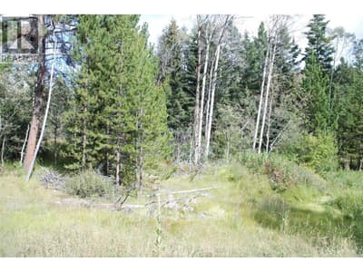 396 Wild Rose Drive, Merritt