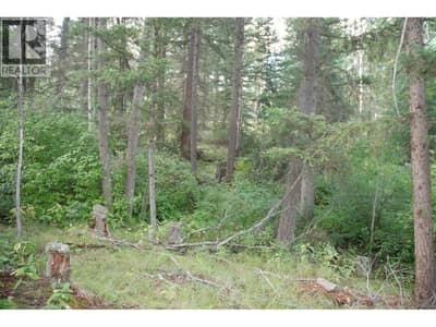 396 Wild Rose Drive, Merritt