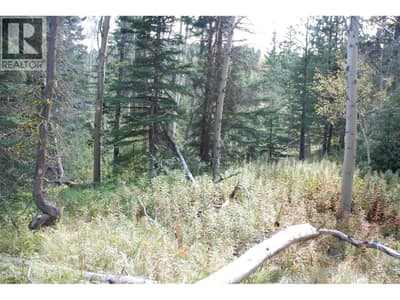 396 Wild Rose Drive, Merritt