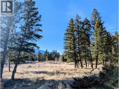 2476 CASTLESTONE Drive, Invermere