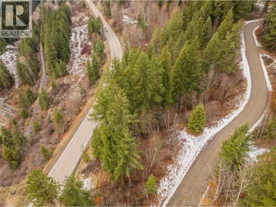 3605 Highway 3A & 6 Road, South Slocan