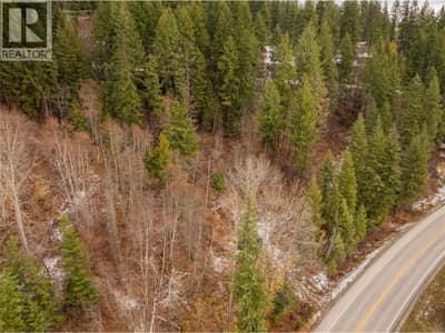 3605 Highway 3A & 6 Road, South Slocan