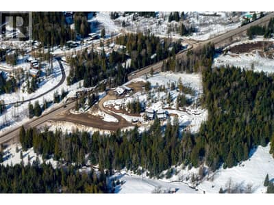 3052 Nancy Greene Highway, Rossland